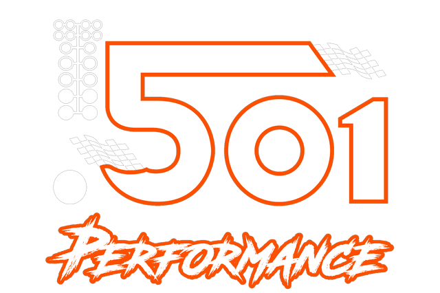 Project 501 logo